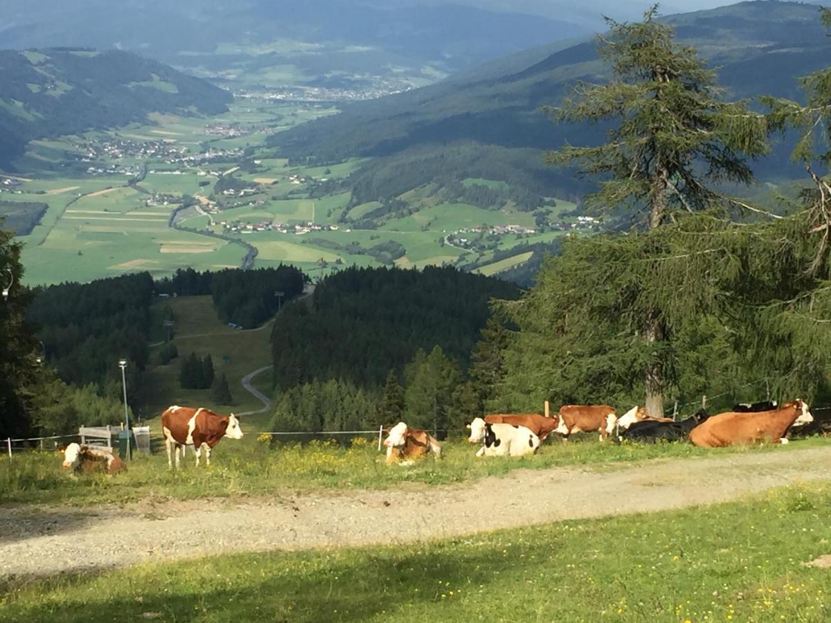 Landhaus Lungau 圣迈克尔隆高 外观 照片
