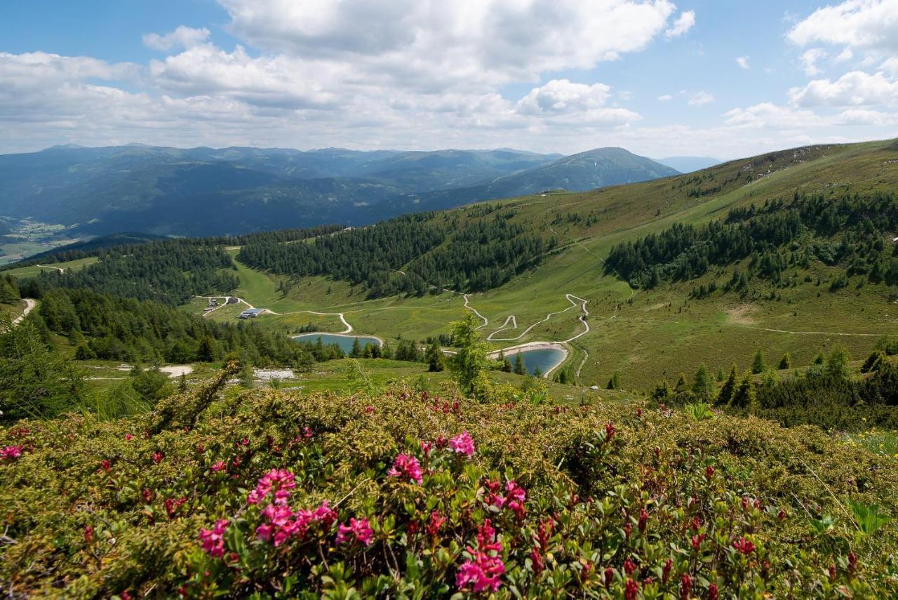 Landhaus Lungau 圣迈克尔隆高 外观 照片